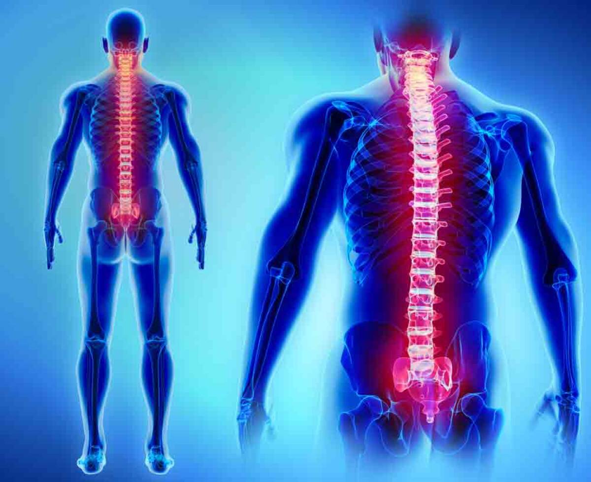 Lower back pain physiotherapy treatment in noida or Lower back pain treatment in noida